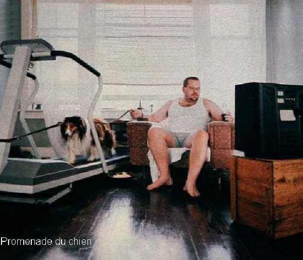 Promenade du chien-humourenvrac